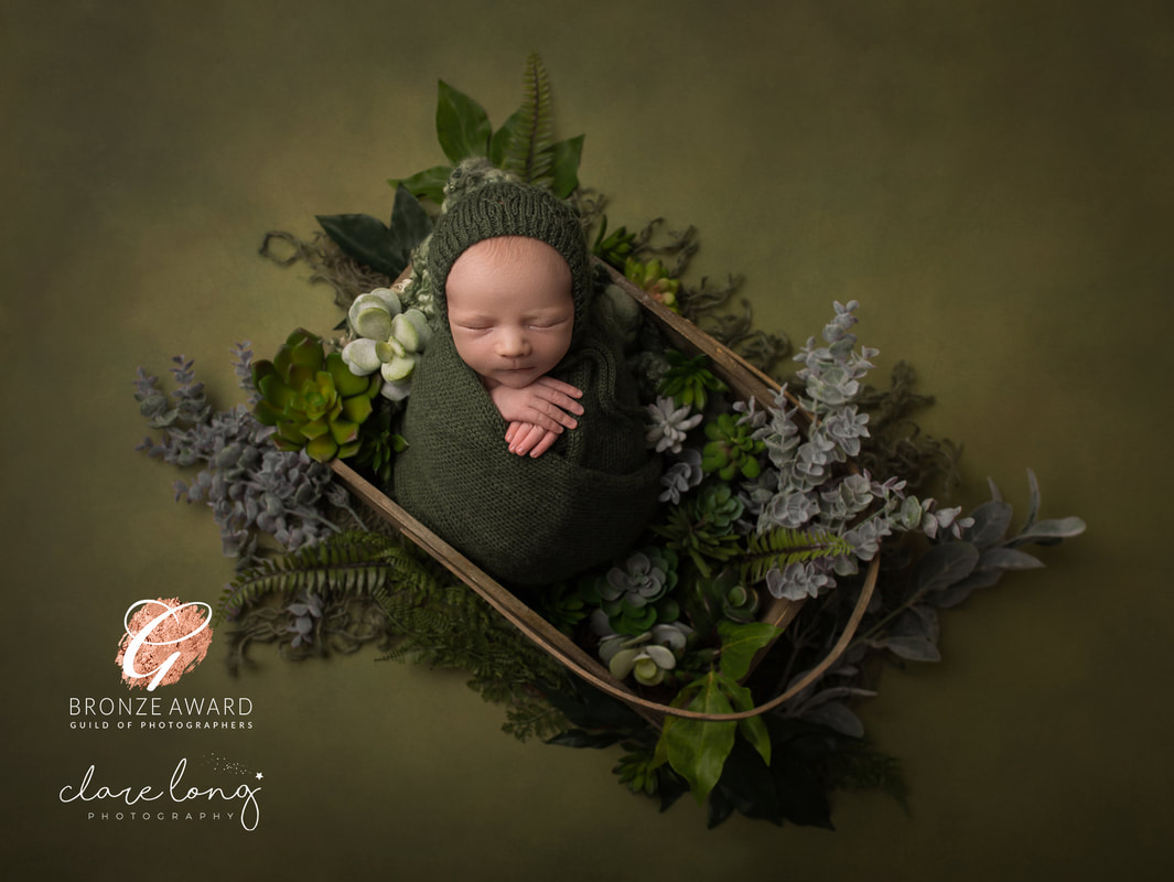 Succulents and baby boy sleeping Newborn photography Kent